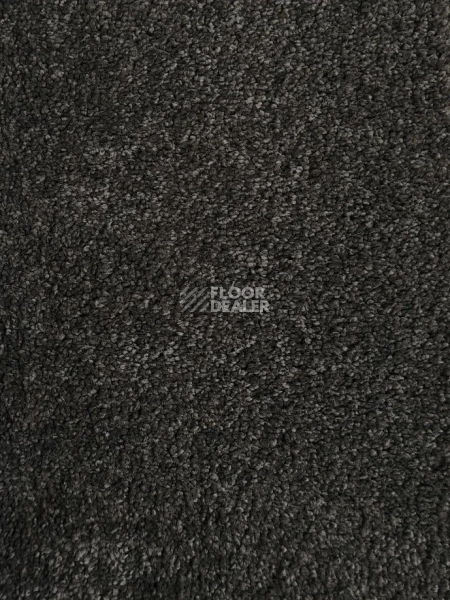 Ковролин Bonkeel Glint Graphit фото 1 | FLOORDEALER